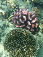 IMG_1763.jpg