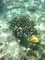 IMG_1771.jpg