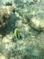IMG_1832.jpg