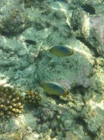 IMG_1840.jpg