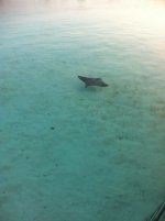 IMG_1658.jpg