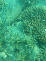 IMG_1902.jpg