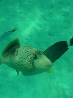 IMG_1933.jpg