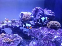 20121015_202852.jpg