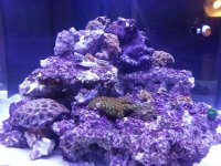 20121015_202908.jpg