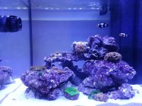 20121015_203041.jpg