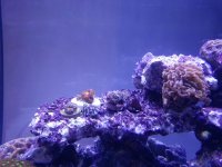 20121015_203231.jpg