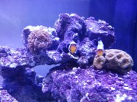 20121015_203444.jpg