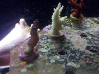 2013-01-20 19.44.09_resize.jpg