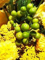 Closeup under dim light IMG_2642.jpg