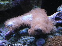 IMG_4314.jpg