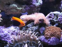 IMG_4316.jpg