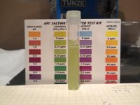 ammonia day 5.jpg