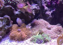 IMG_0199.jpg