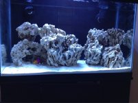 ImageUploadedByReefs1359308110.725764.jpg