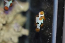 IMG_3114.JPG