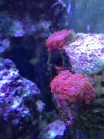 IMG_1128.jpg