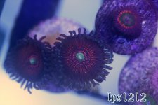 IMG_3750.JPG