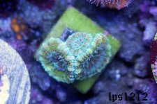 IMG_3733.JPG
