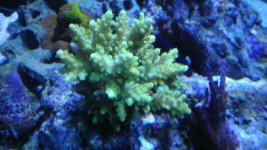 IMAG0424.jpg