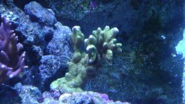 IMAG0442.jpg