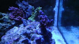 IMAG0457.jpg