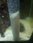 ImageUploadedByReefs1351489157.488253.jpg