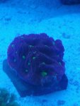 IMG_20120728_001411.jpg