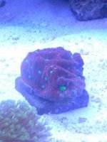 IMG_20120728_001517.jpg