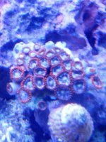 IMG_20120730_130104.jpg