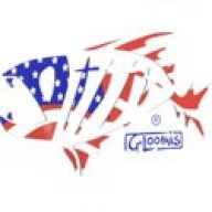 stingnyc