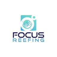 FocusReefing
