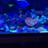 nyfishkid87