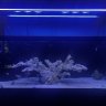 Idol_reefs