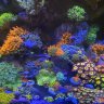 Jeeflo74