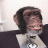 scumonkey