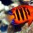 gcfishreef