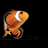 coralking093