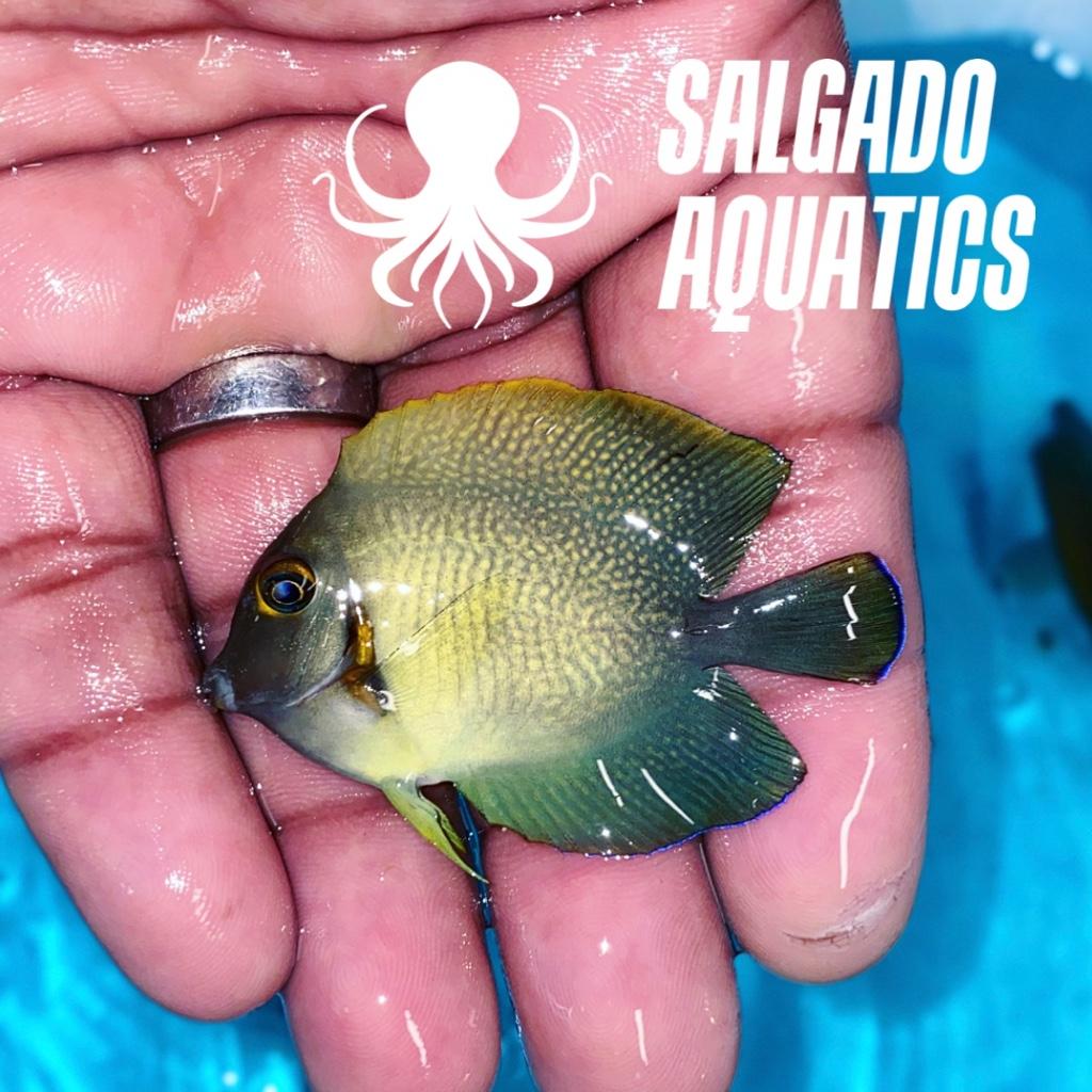 5d093f42adc689285e6c003d7854b08f.jpg