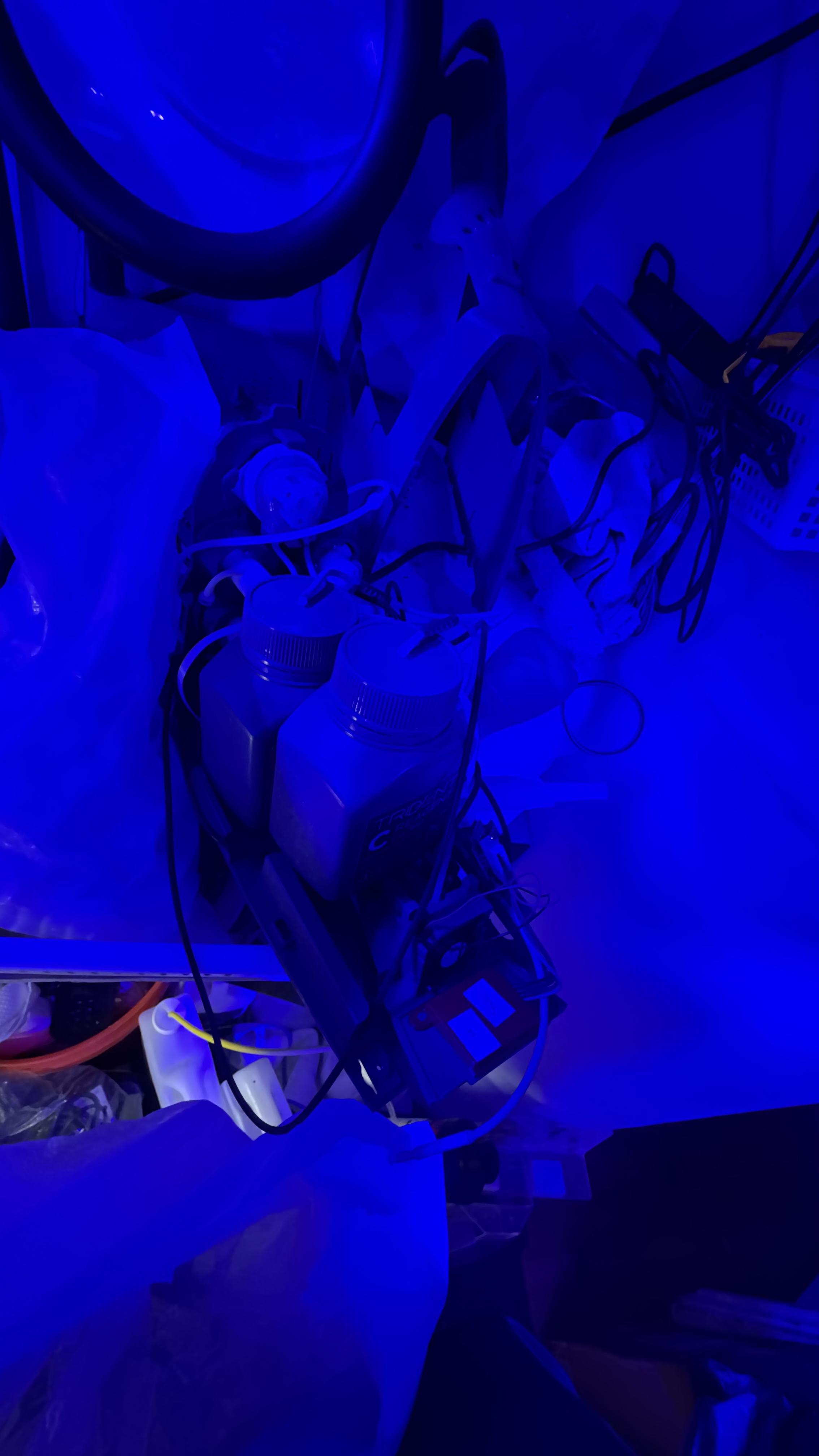 d918c9aa4ca2e79a7f4c665c27cbe154.jpg