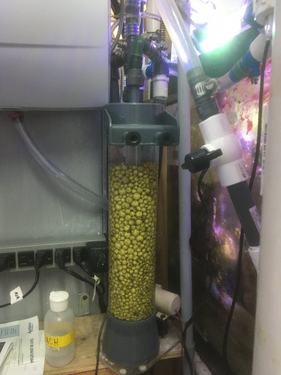 Denitrification reactor.JPG