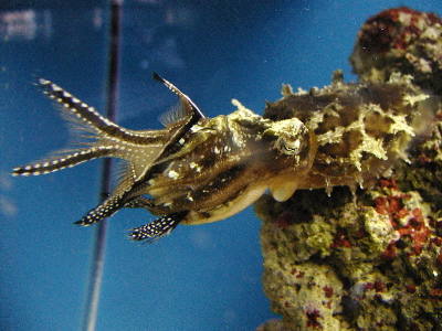P2030030.JPG