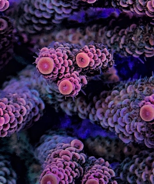 d1a0f221a31ca4f58b12328e318c884c.jpg