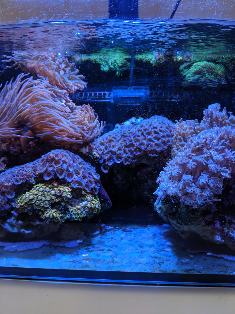 48367473201_4c160f2784_b.jpg