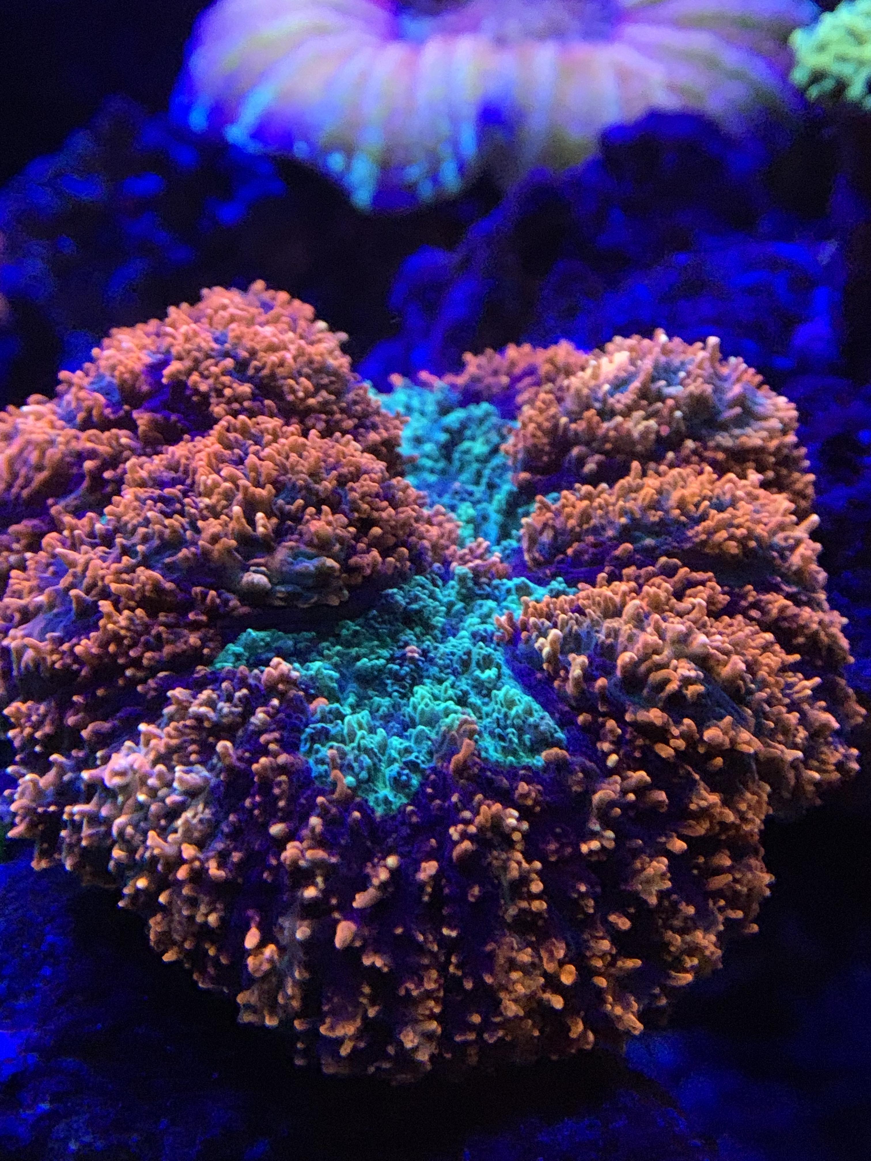 e7d24bbd12eececb1e8b1f5accb5d873.jpg