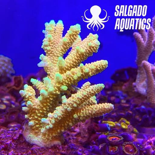 0a1aee61c7dfa3aa009e748b3621e6e7.jpg