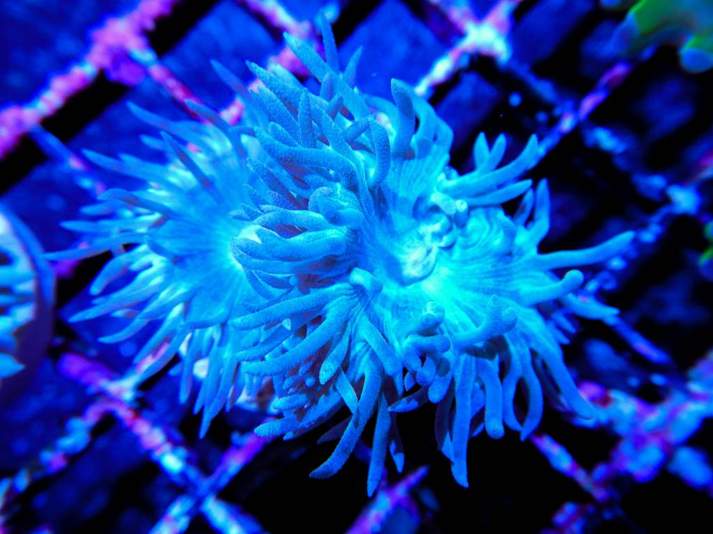 e1ca89f3ae55562933ae25b478a83481.jpg