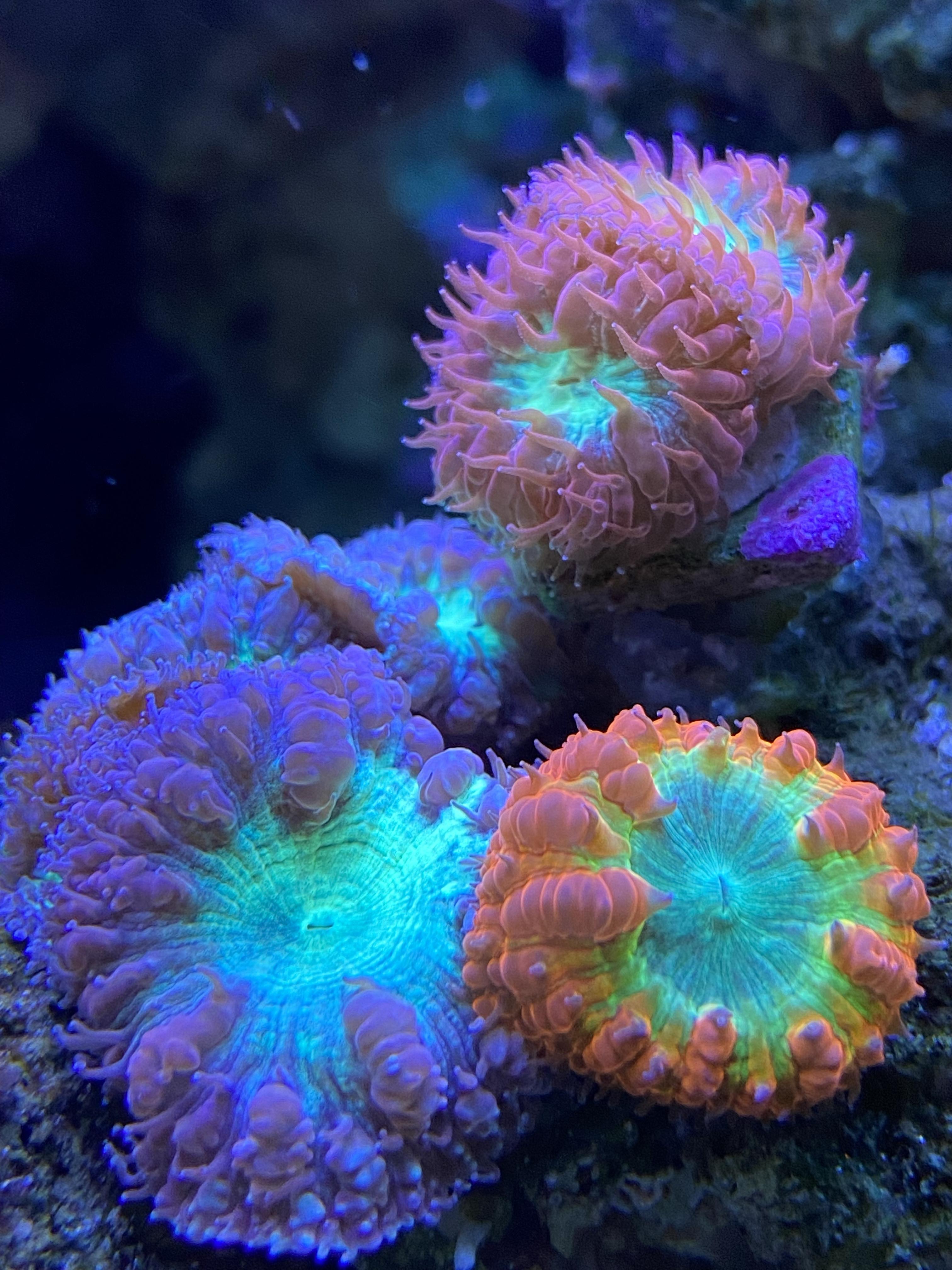 c29f0336ffac523d26fa8445c05e8f31.jpg
