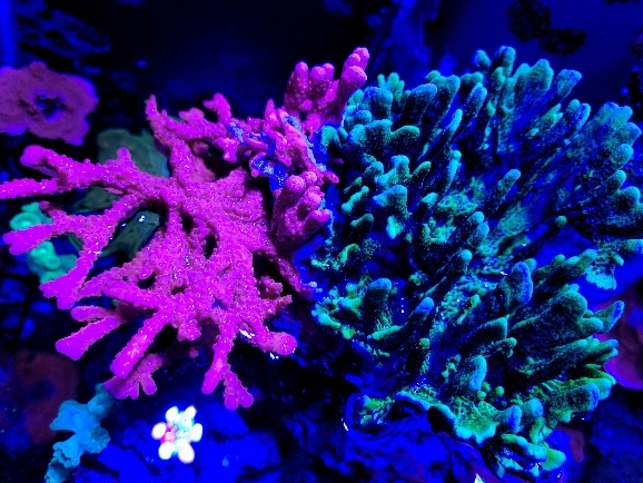 1f0491cf6a30de7f10a091f1960f3302.jpg
