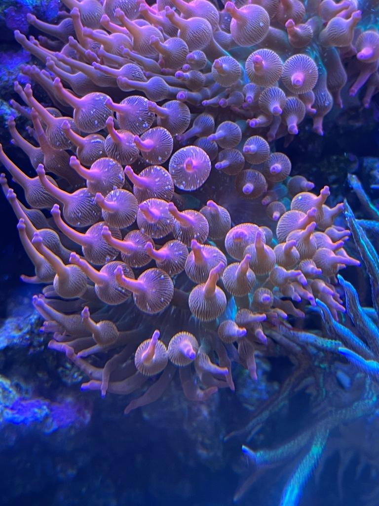 7e42f9c9dc63e88ab15ef595404610a4.jpg